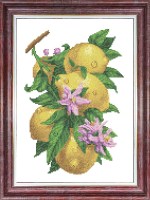 Ветка с лимонами- Канва с нанесенным рисунком для вышивки крестом 23х30 см